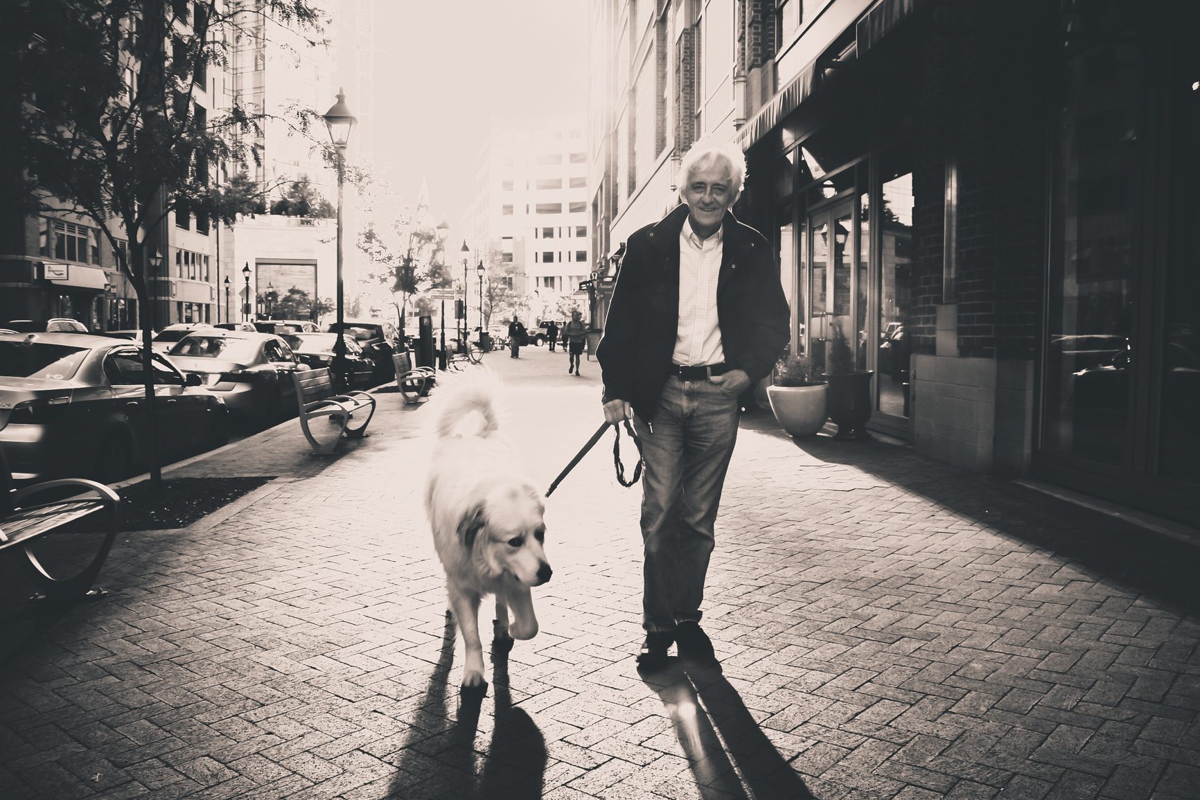 A smiling old man walks his white dog | Burnaby, New Westminster | Sports Therapy & Chiropractic Clinic